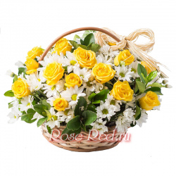 Радостные впечатления