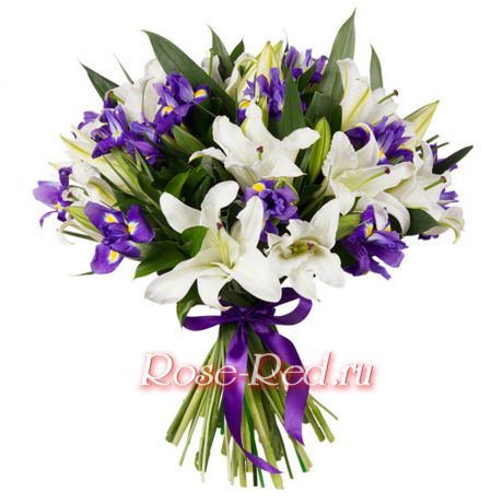 Небесная краса