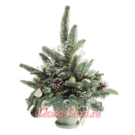 Елочка красавица