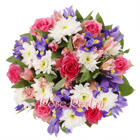 Лазурный мотылек