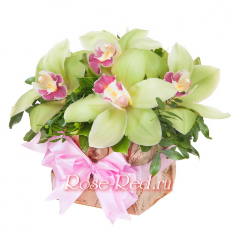 Сочная долина