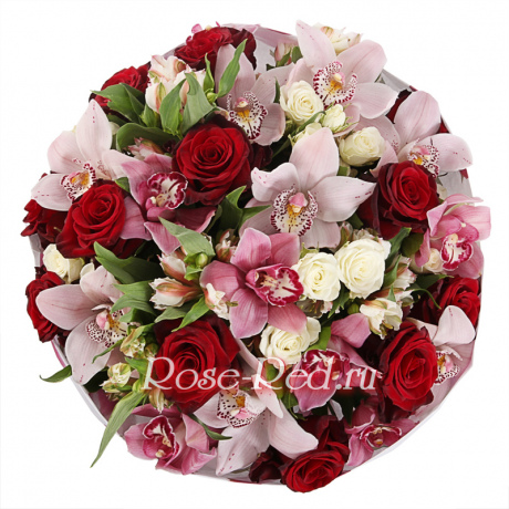 Мгновения любви