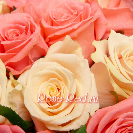 Милая и нежная