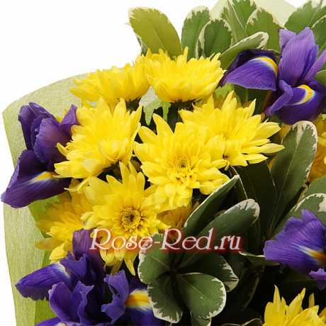 Море позитива