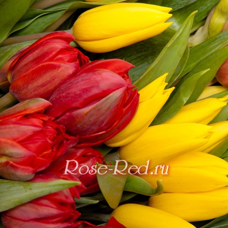 Восточная сказка