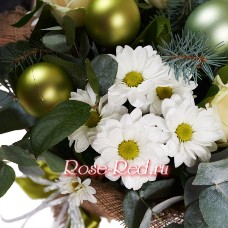 Новогоднее чудо