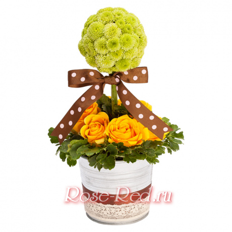 Зеленый шар надежды