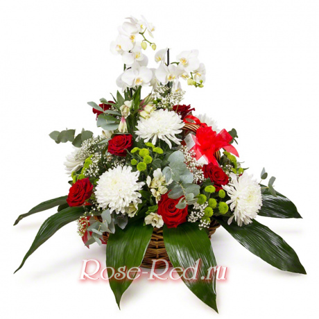 История большой любви