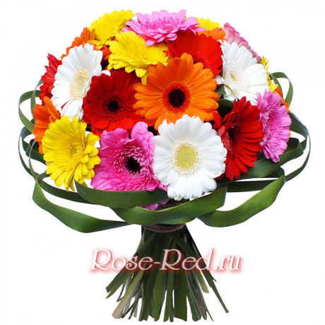 Вокруг света