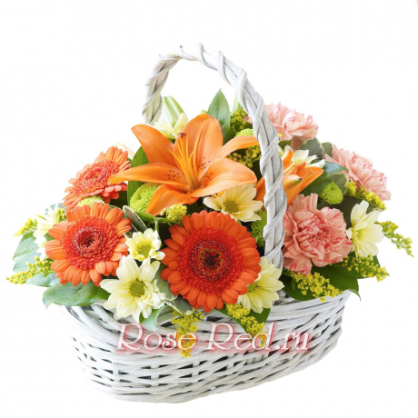 Яркие звезды