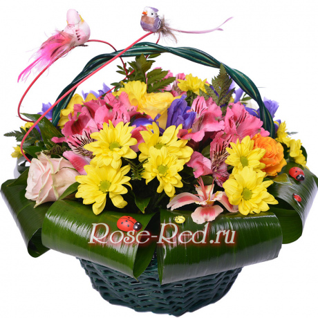 Счастье в дом