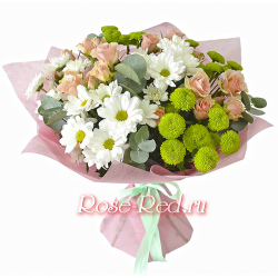 Утро у реки