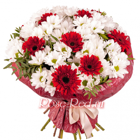 Искра надежды