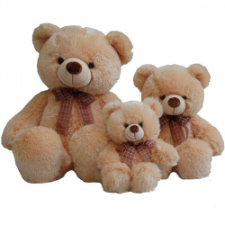 Медведь из сказки