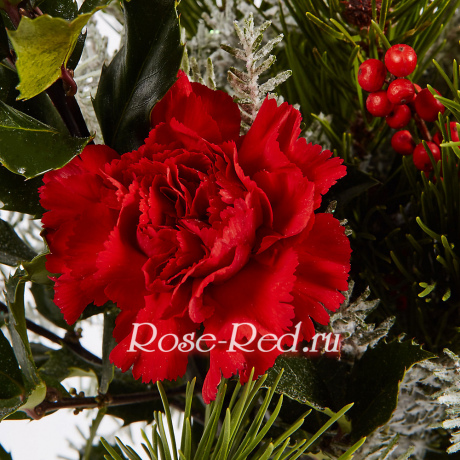 Красавица зима