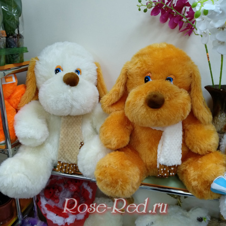 Собака Добрый друг