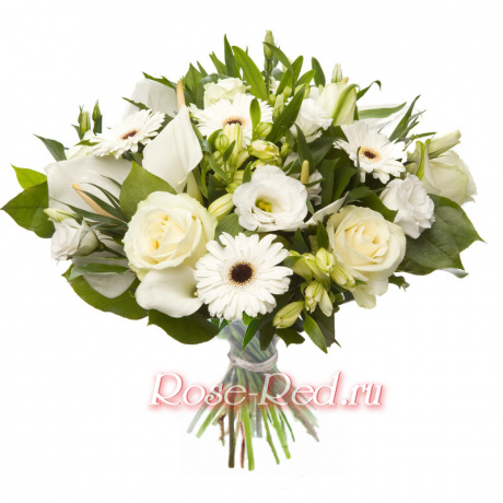 Ослепительно белый