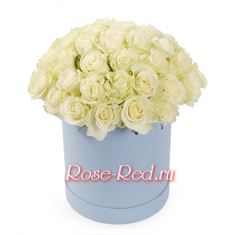 Прекрасная вселенная