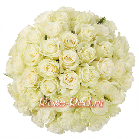 Прекрасная вселенная