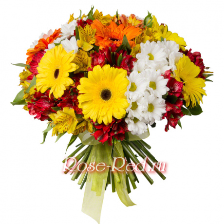 Радостный день