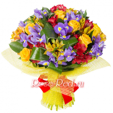 Красочный мир