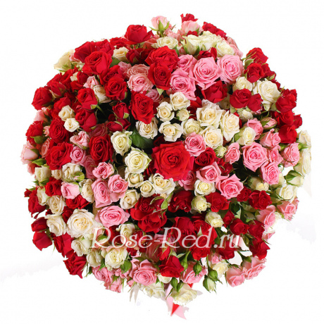 Пленительная красота