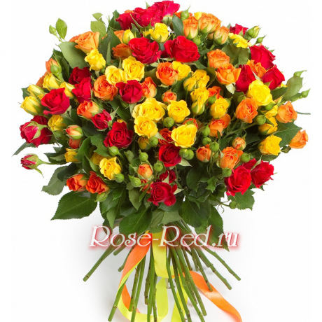 Ярче солнечного дня