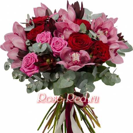 Примадонна