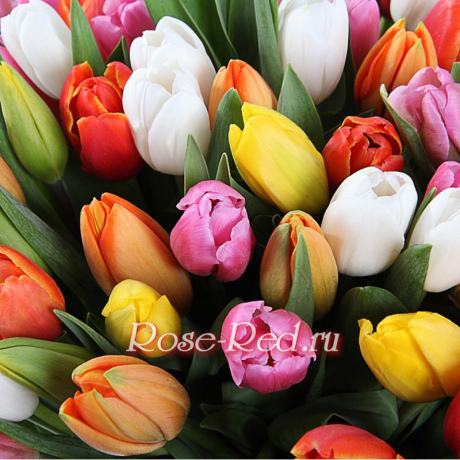 Счастливая весна