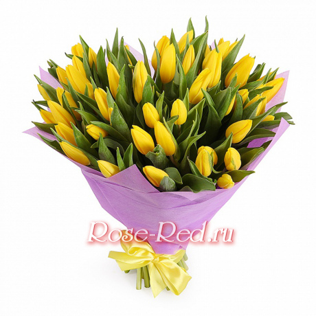 Солнечные блики